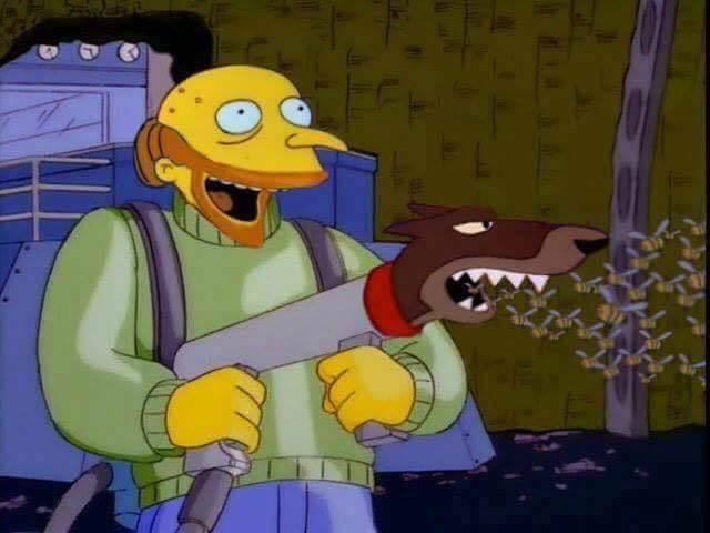 Extremely unclear what's going on here but it involves bees and dogs and maybe eating? A dog gun shooting bees (it doesn't make any more sense than that if you view the actual image)